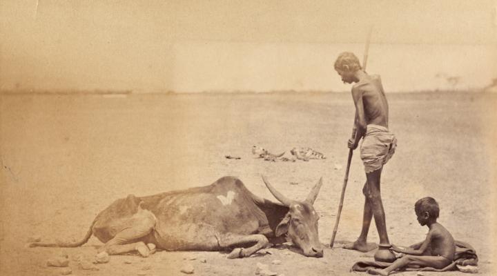 Famines in Late Nineteenth-Century India: Politics, Culture, and Environmental Justice